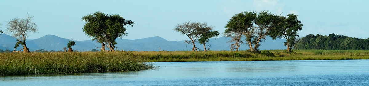 Environmental Monitoring Banner